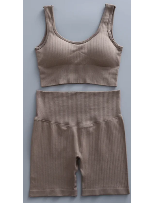 Conjunto Feminino Academia