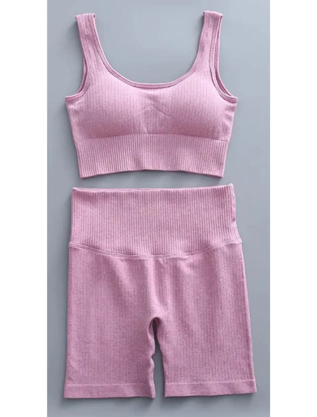 Conjunto Feminino Academia