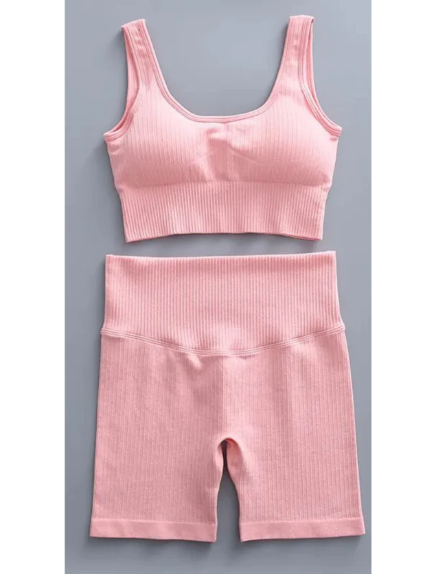 Conjunto Feminino Academia