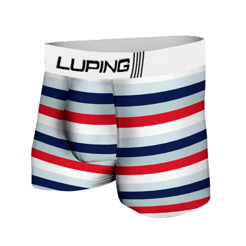 Kit 10 Cuecas Masculina Adulto Boxer de Microfibra