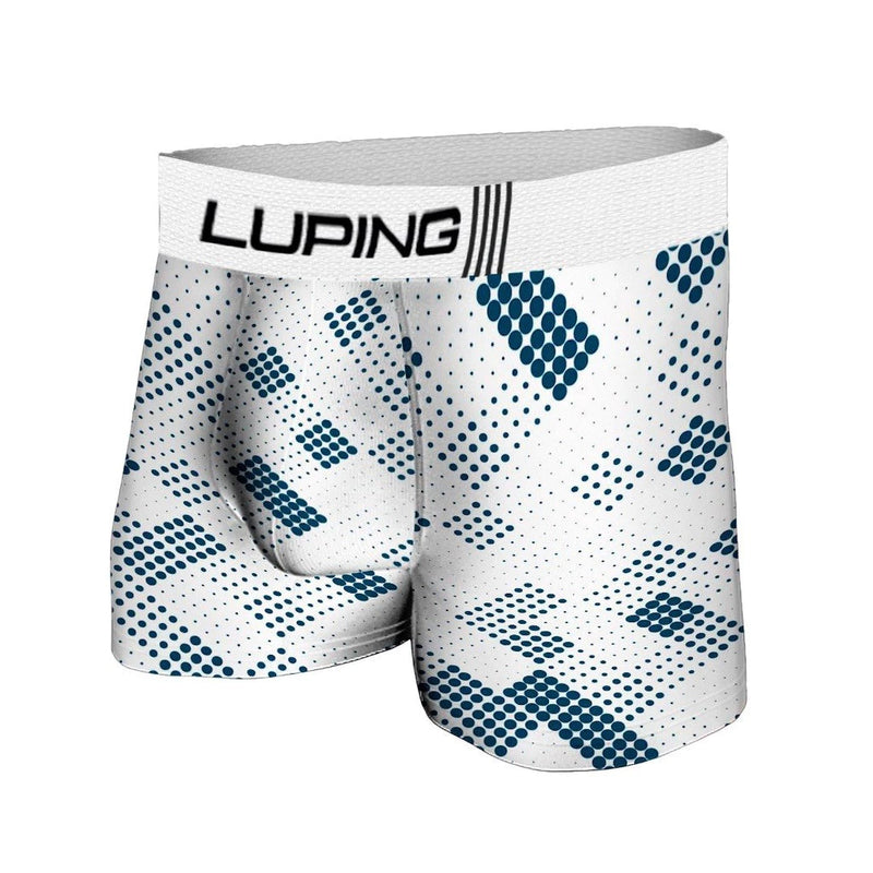 Kit 10 Cuecas Masculina Adulto Boxer de Microfibra