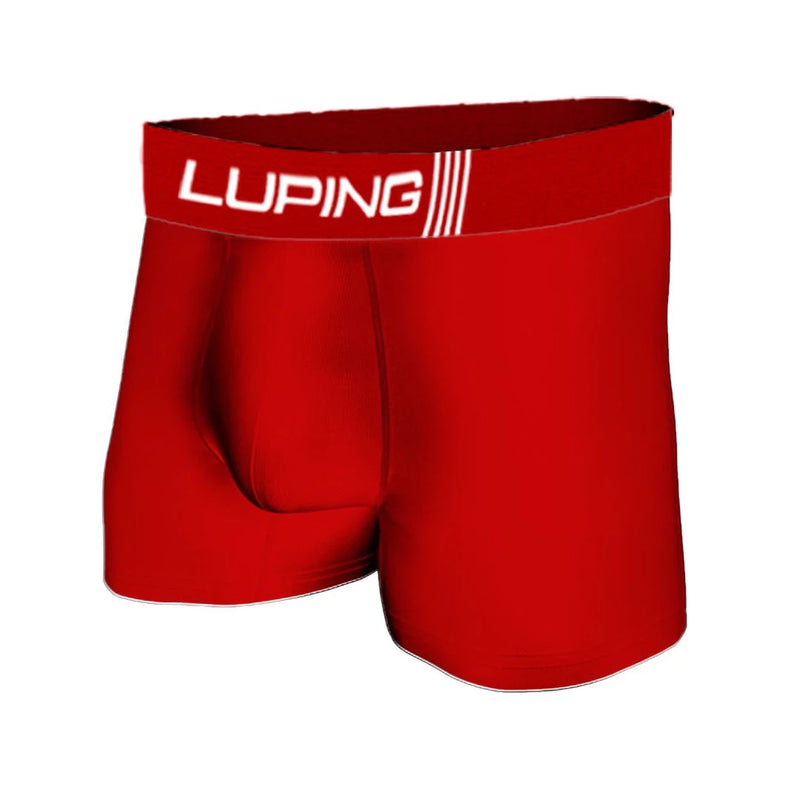 Kit 10 Cuecas Masculina Adulto Boxer de Microfibra