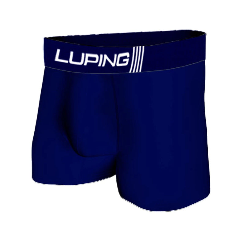 Kit 10 Cuecas Masculina Adulto Boxer de Microfibra
